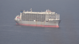 Tiertransportschiff 2