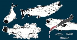 Fische