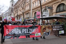 Pelzdemo 1