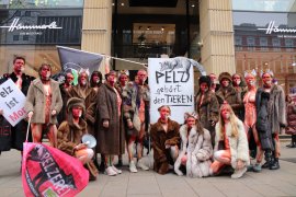 Pelzdemo 4