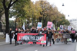 Pelzdemo 5