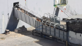 Rinder-Verladung auf Transportschiff