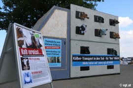 Tiertransporter nachgebaut