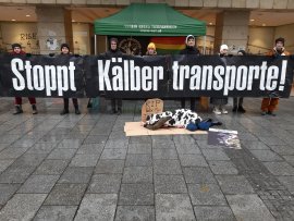 Aktion Linz