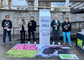 Aktion Dornbirn