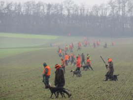 Jagd 1