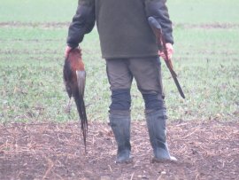 Jagd 4