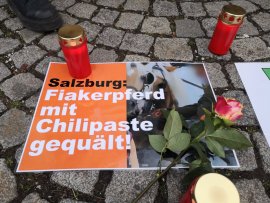 Mahnwache 2