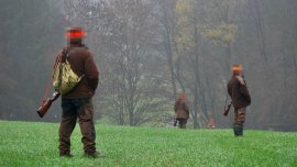 Jagd 1
