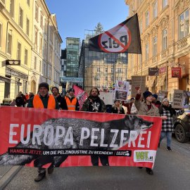 Der große Demozug auf seiner Route durch Innsbruck