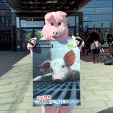 VGT-Protest bei Grünem Bundeskongress in Villach heute: kein Fortschritt im Tierschutz!