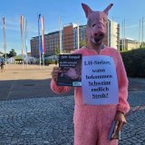 Landesverwaltungsgericht OÖ gibt VGT recht: Festnahme bei ÖVP-Demo war rechtswidrig