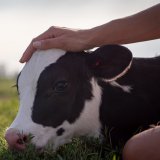 Einladung zu VGT-Aktion: „Wir lieben alle Tiere“ zum Valentinstag
