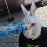Nein zu Tierversuchen