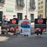 VGT drängt auf Lösung der Problematik mit dem einstreulosen Schweine Vollspaltenboden