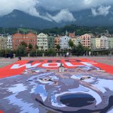Übergabe Wolfspetition durch VGT