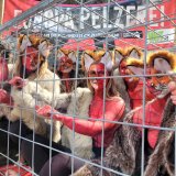 Blutige Füchse in Wien: Bodypainting für Pelz-EBI