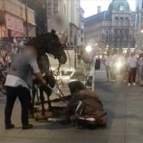 Einladung zur Gedenkaktion für Fiakerpferde