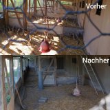 Unglaublicher VGT-Erfolg: Großfasanerie Nickelsdorf wurde jetzt aufgelöst!