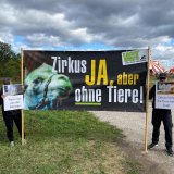 Erneut Demo bei Zirkus Candy