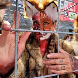 Einladung: VGT-Anti-Pelz-Demo in Graz