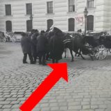 Erneut Unglück mit Fiakerpferd am Michaelerplatz