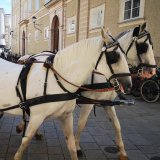 Fiaker in Salzburg – Alle wichtigen Infos und FAQ