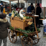 Tierqual am Dornbirner Martinimarkt?