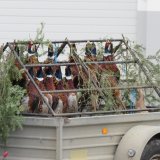 Illegales Jagdtreiben in der Südsteiermark