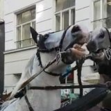 Schwerer Unfall mit Fiakern in Wien
