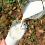 Einladung zum „Hafermilch-Gate“ vor der Landwirtschaftskammer