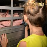30 Jahre VEREIN GEGEN TIERFABRIKEN: Neues Video!
