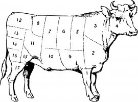 Rinder 1