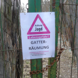 Gatterjagd