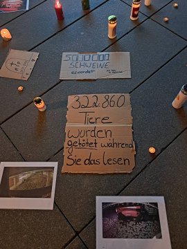 Lichtermeer 3