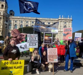 Klimastreik 1