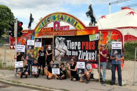 Zirkus Demo