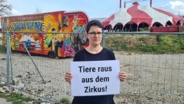 Demo 2