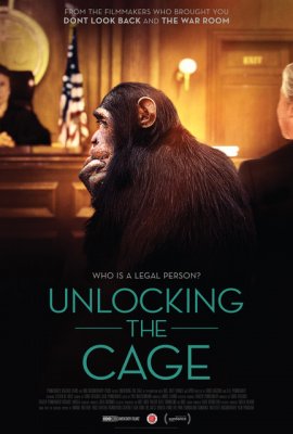 Film poster