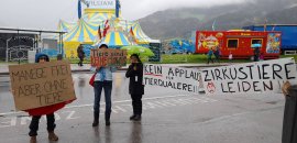 Zirkus 1