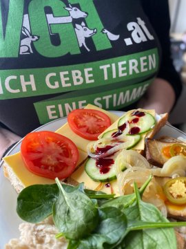 Kaltes Buffet