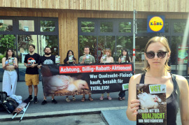 Kundgebung vor einer Lidl-Filiale