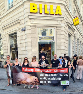 Kundgebung vor einer Billa-Filiale