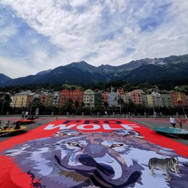 Pro Wolf Kundgebung in Innsbruck