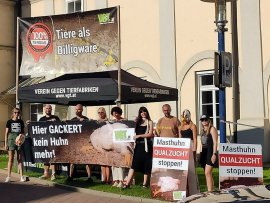 Aktivist:innen bei der Zufahrt