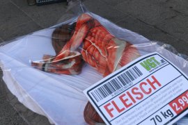Fleischtasse