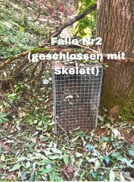 Falle 1