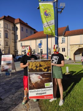 Tierschutz-Demo