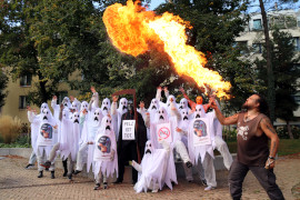 feuer