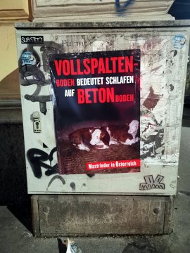 Schlafen auf Betonboden